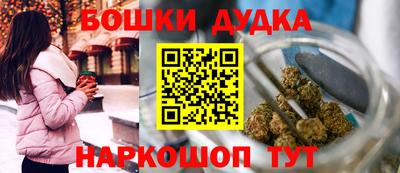 индика Будённовск