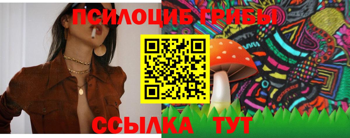Псилоцибиновые грибы мицелий  Вход с VPN  Северодвинск 